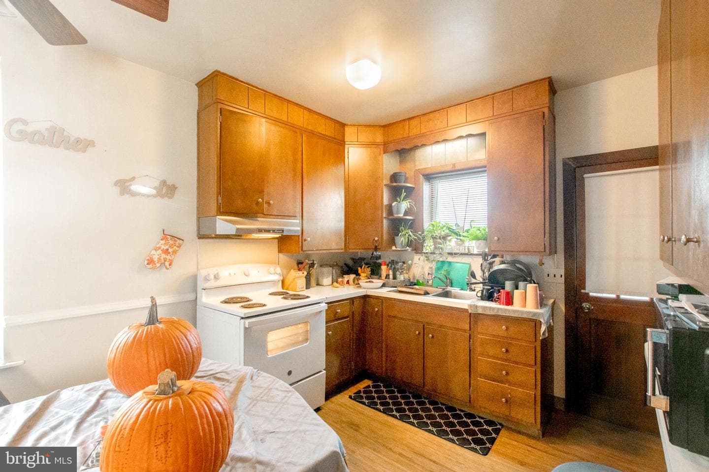 747 Oak Street photo 11