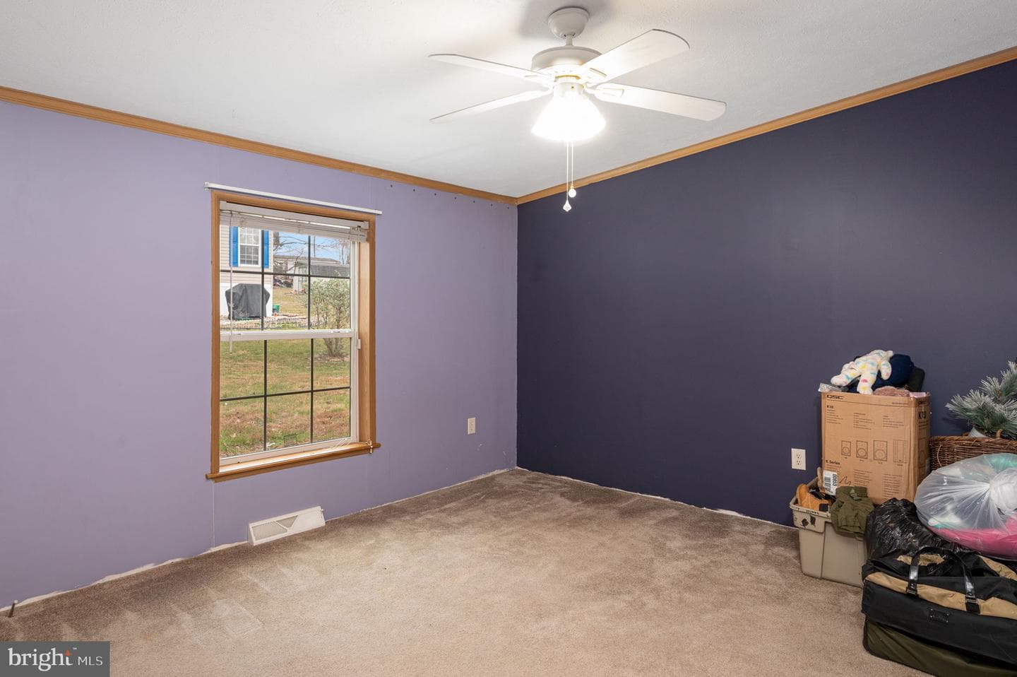 144 Glen Roy Road photo 19