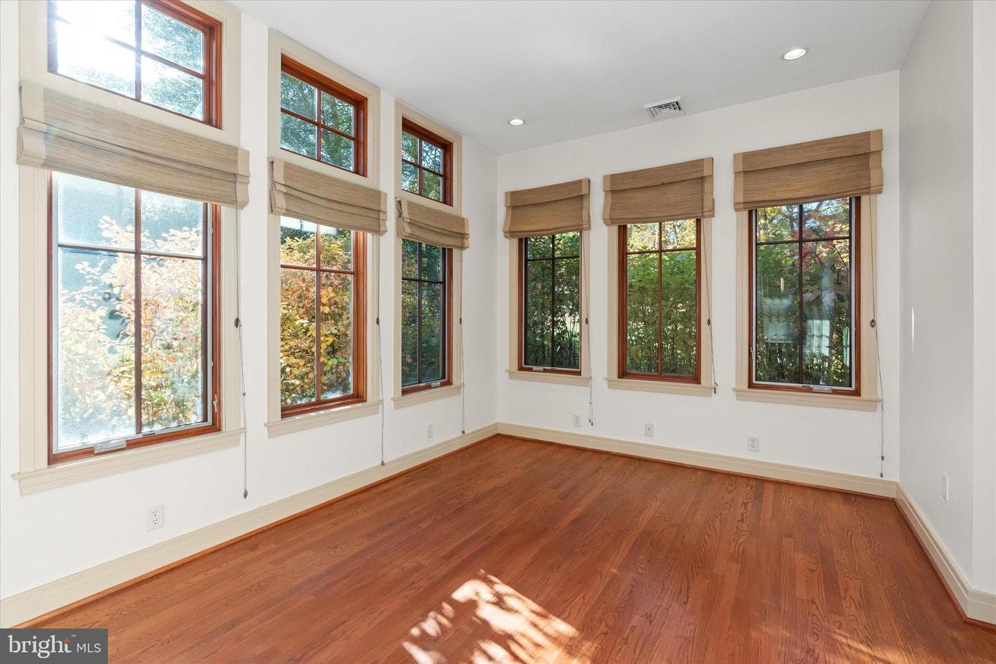 55 Raintree Road photo 13