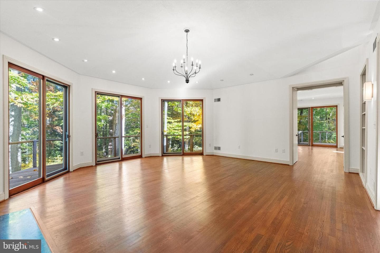 55 Raintree Road photo 23