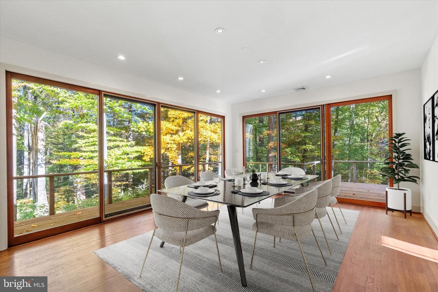 55 Raintree Road photo 24