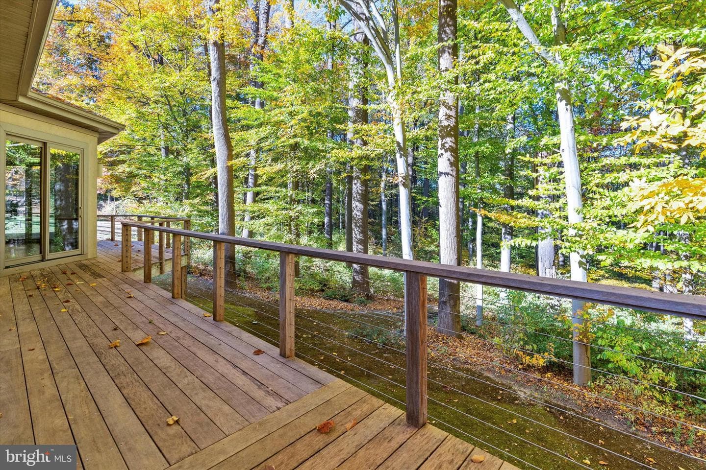55 Raintree Road photo 55