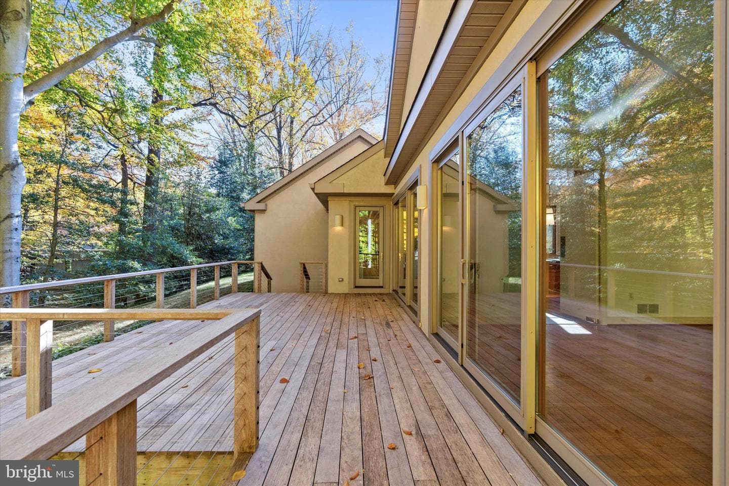 55 Raintree Road photo 57