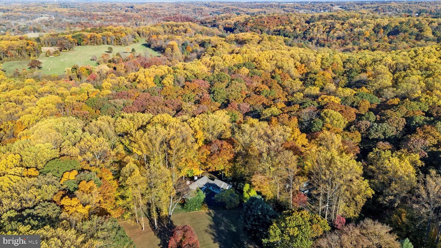 55 Raintree Road photo 61