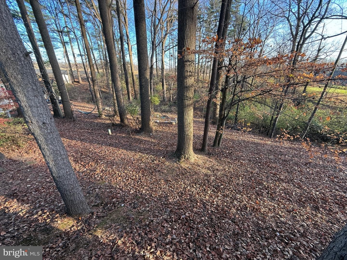 1040 Pine Drive photo 13