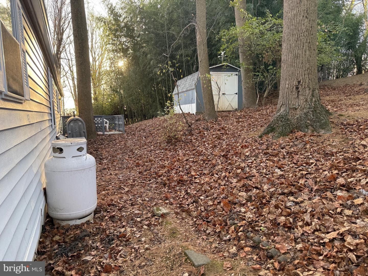 1040 Pine Drive photo 3