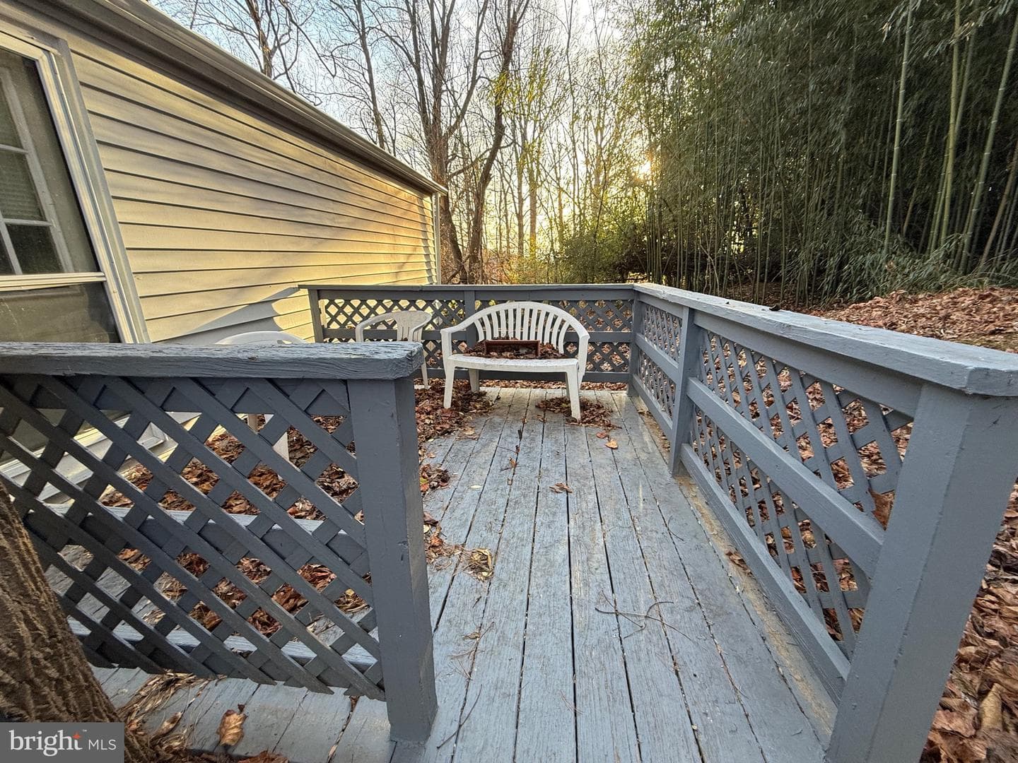 1040 Pine Drive photo 6