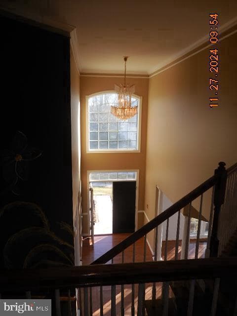 37 Remington Way photo 27