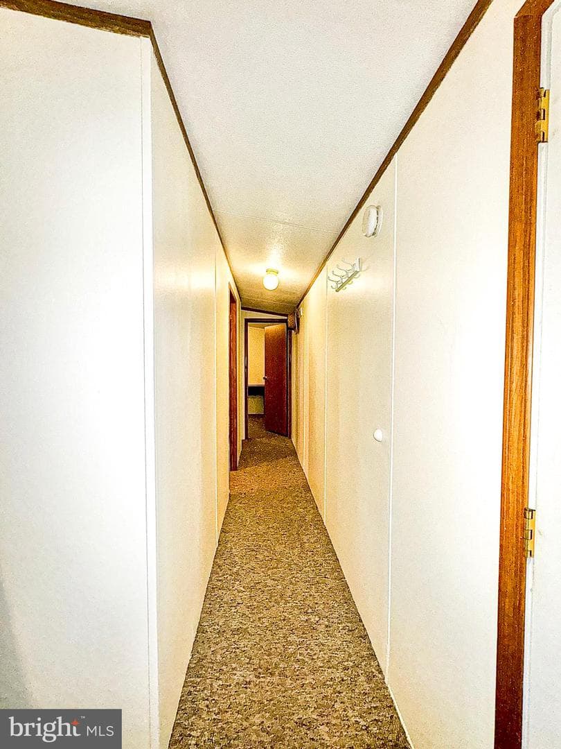 19 Sunrise Drive photo 13