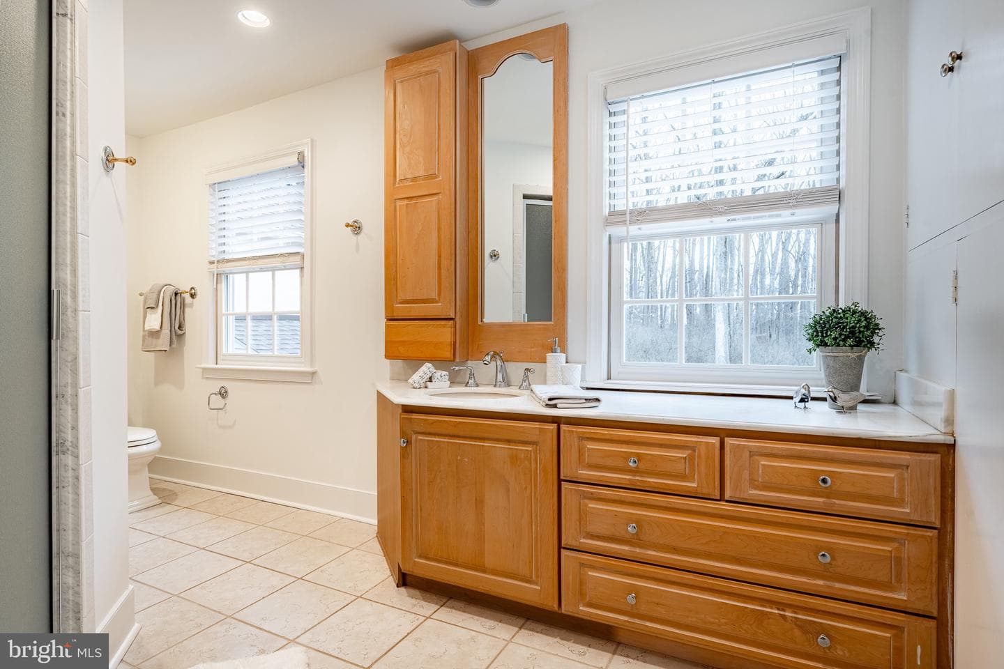 2223 White Horse Road photo 49