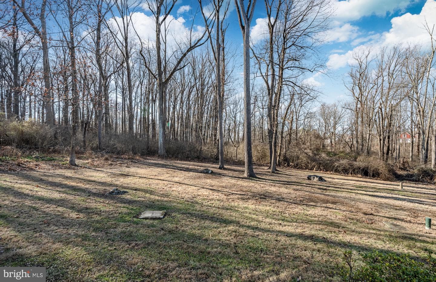2223 White Horse Road photo 9