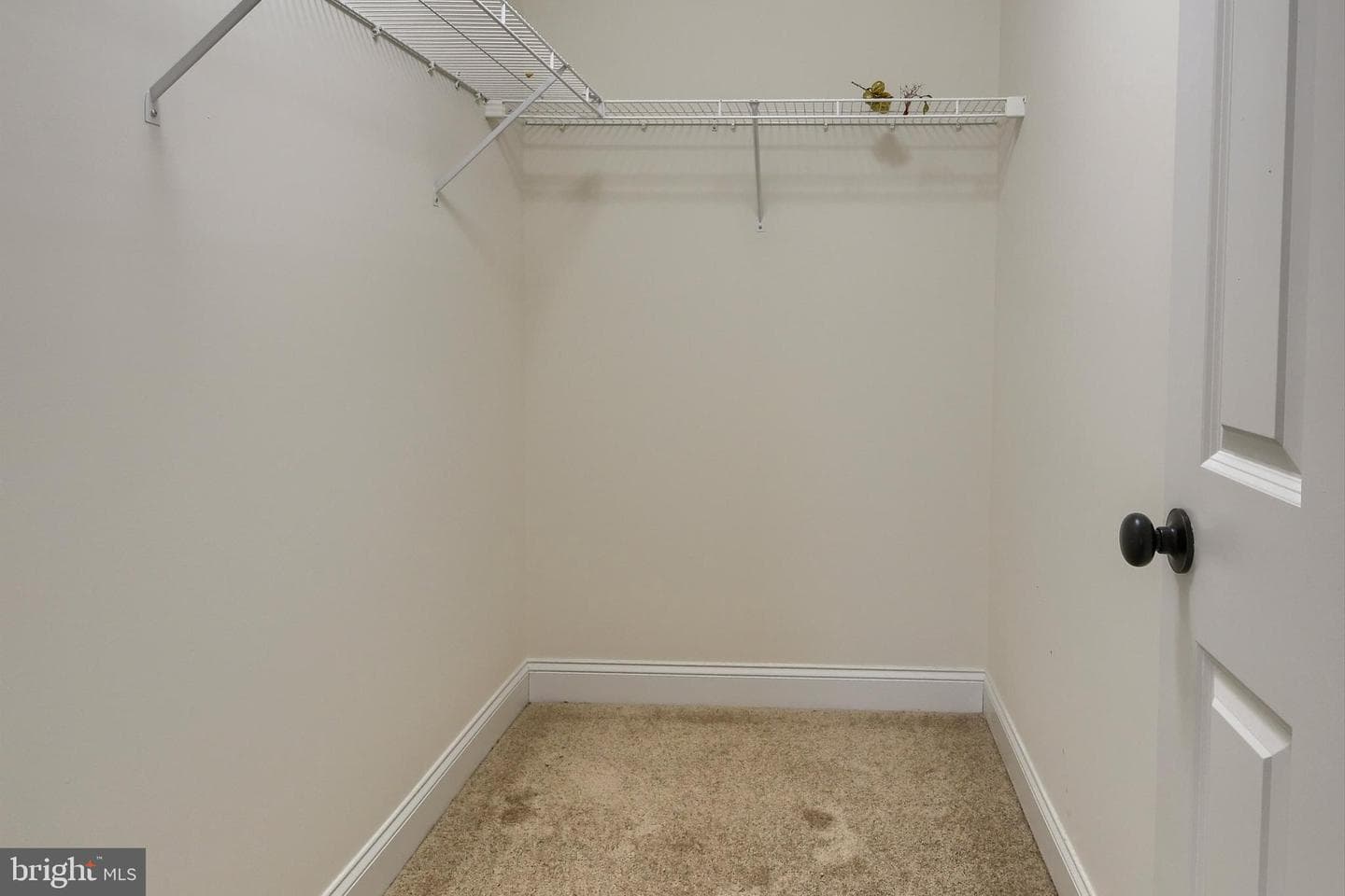 8 New Village Greene Drive photo 17