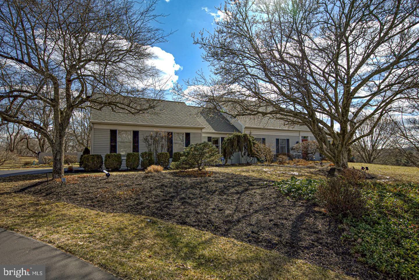 463 Chambers Lane photo 3