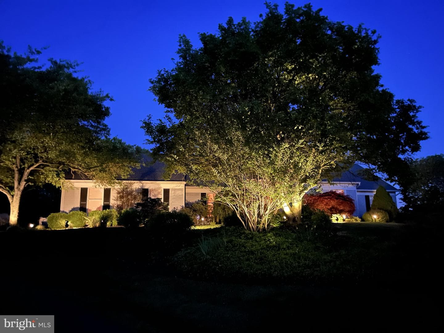 463 Chambers Lane photo 6