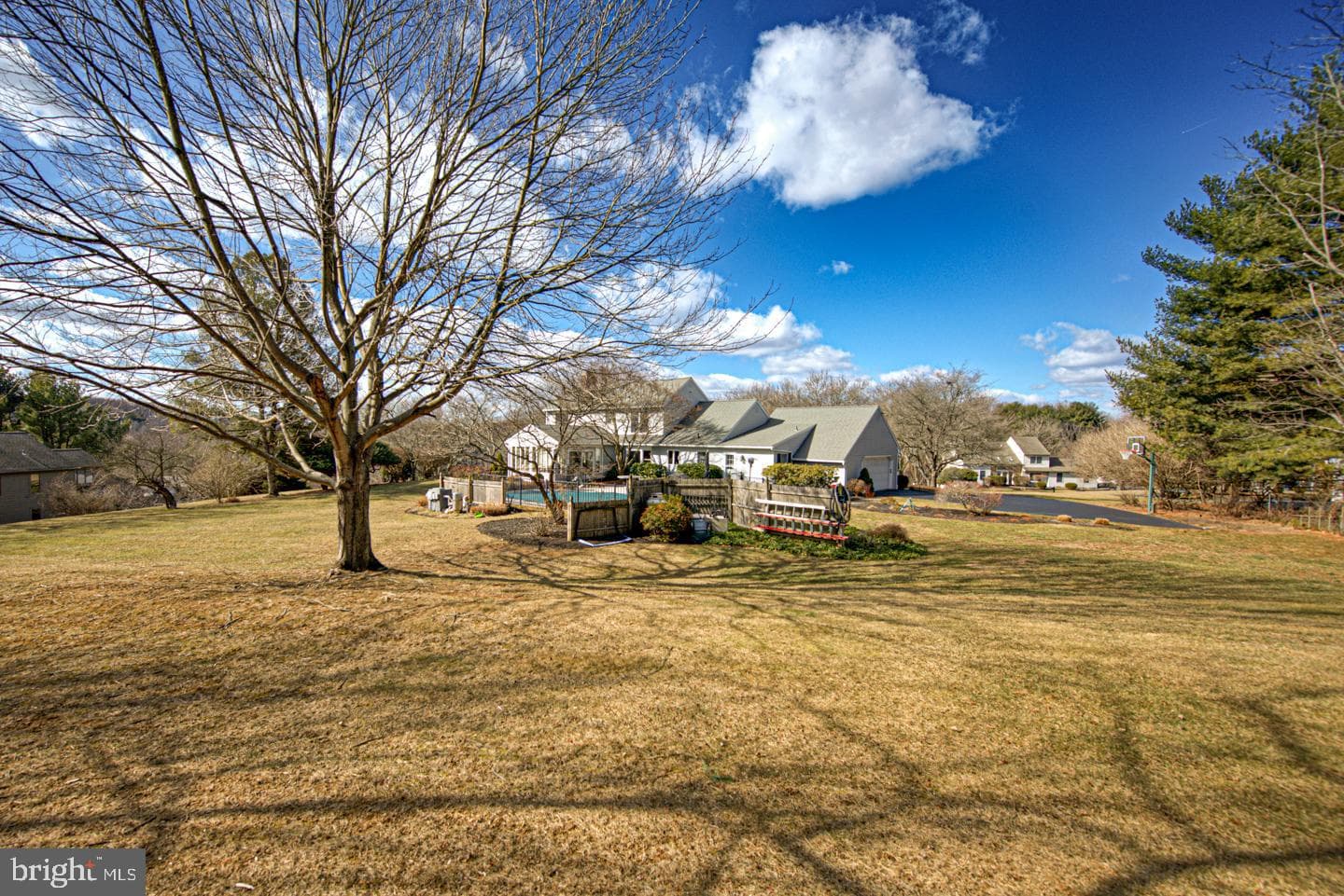 463 Chambers Lane photo 62