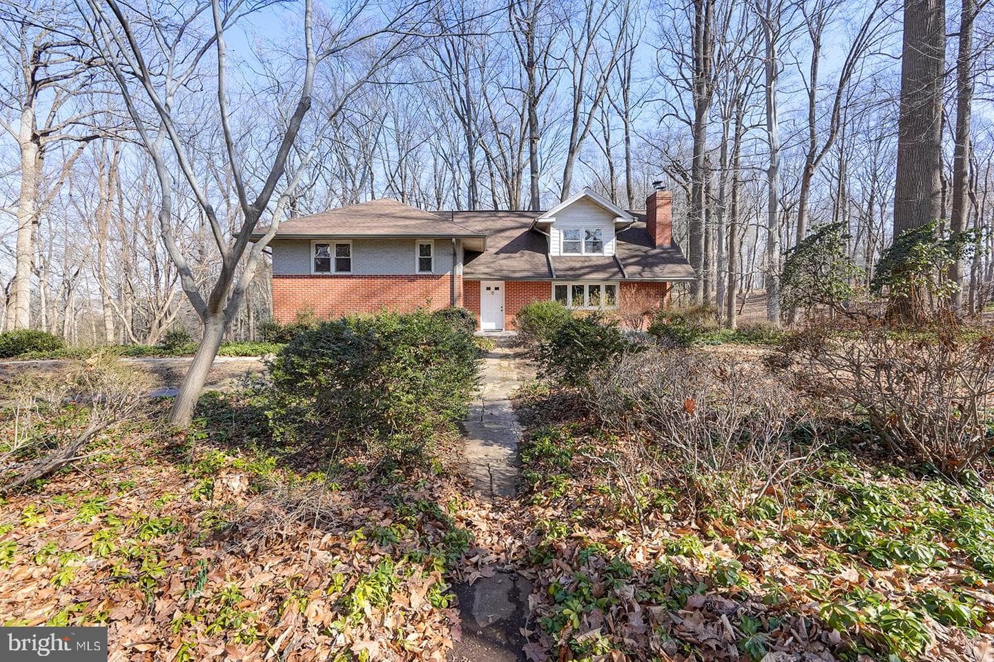 781 Haines Mill Road photo 6