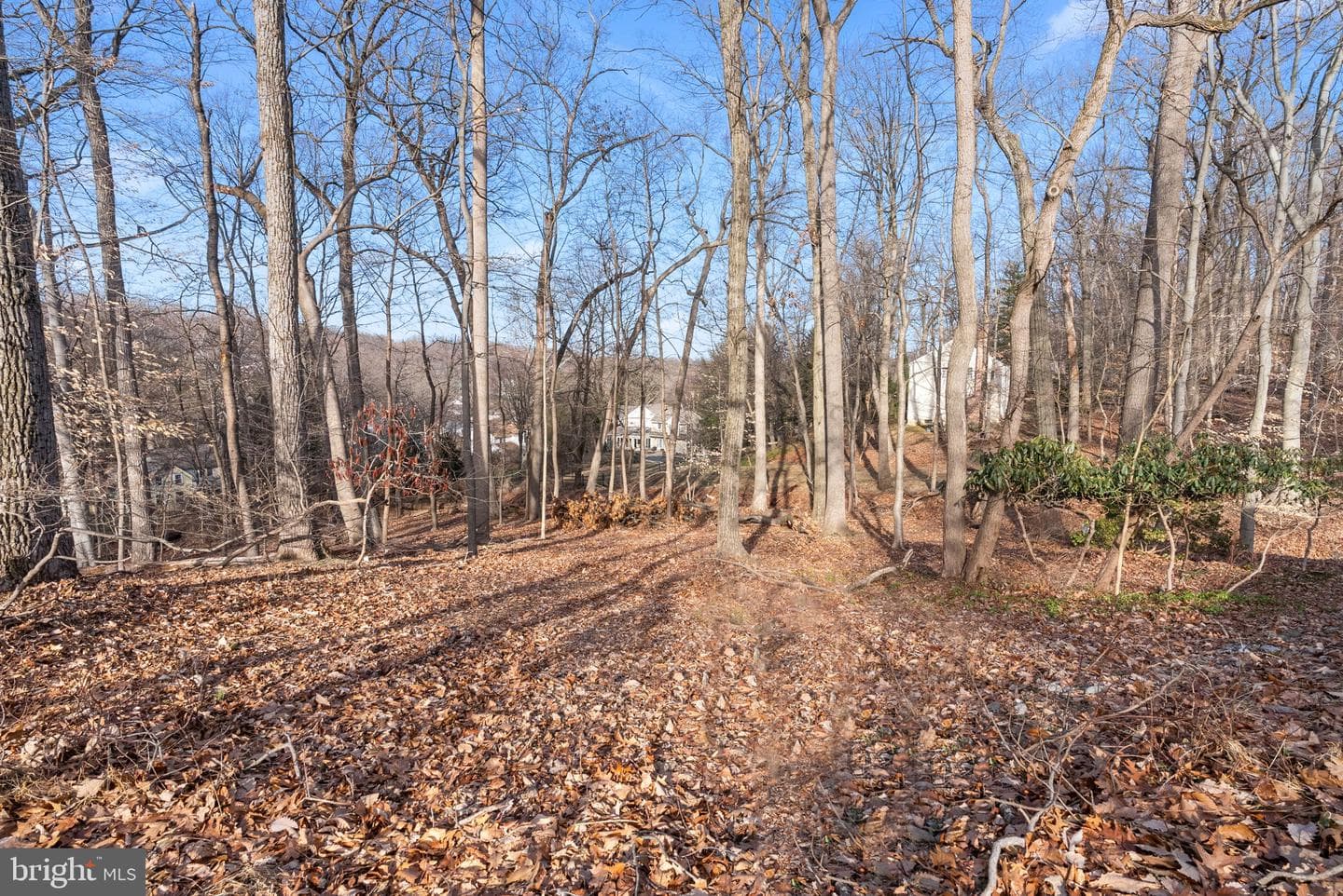 256 Upper Gulph Road photo 28
