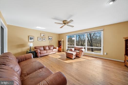 1143 Dorset Drive photo 20