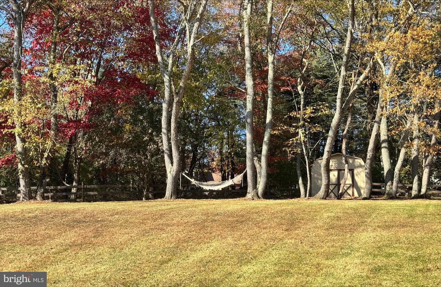 1143 Dorset Drive photo 6