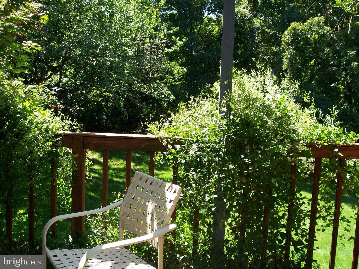 1 Painters Lane photo 52
