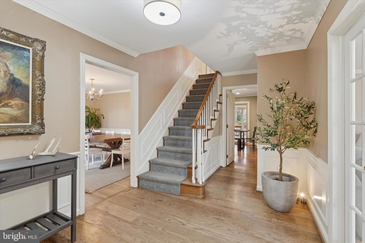 50 Fawn Lane photo 2