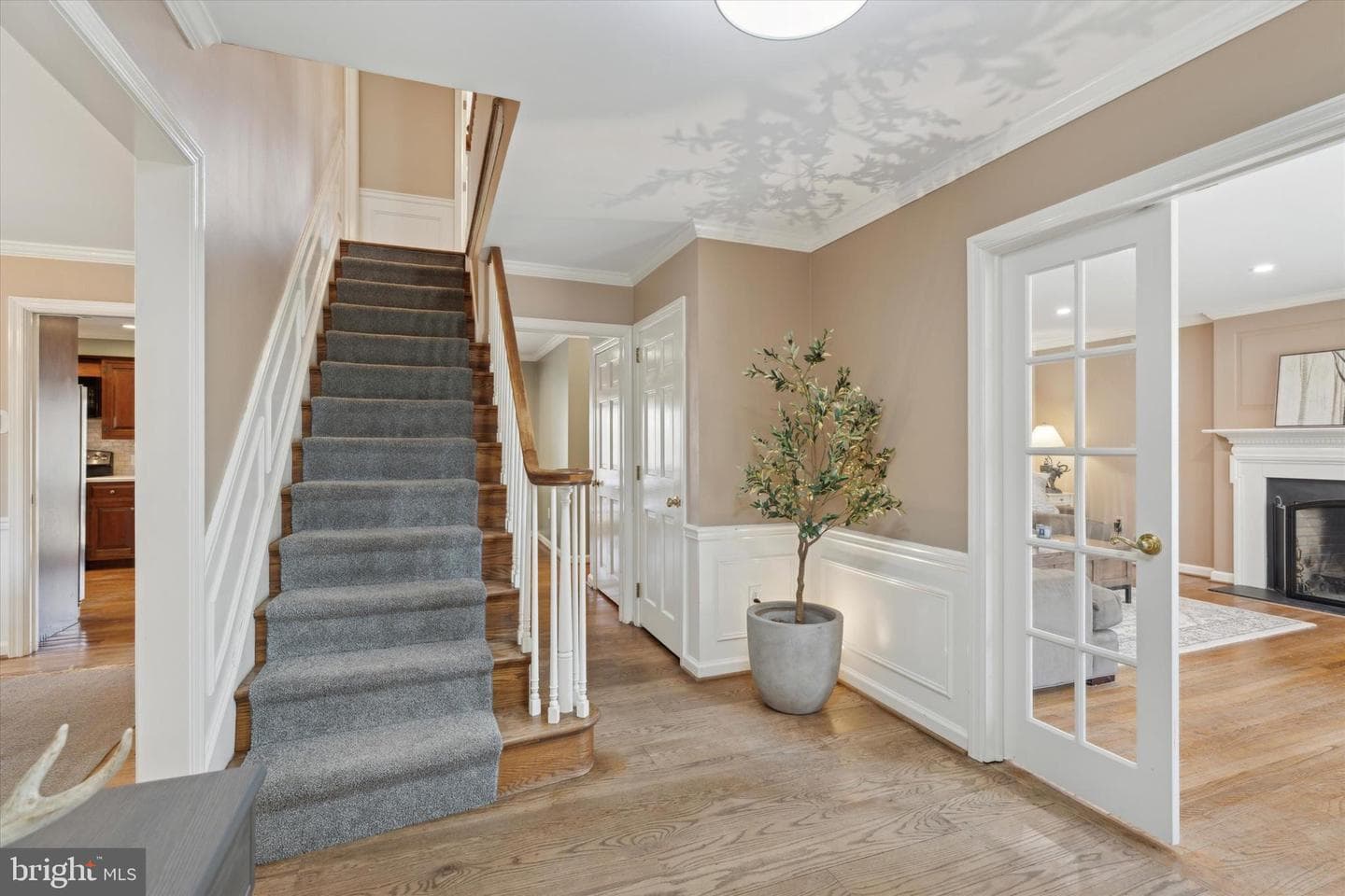 50 Fawn Lane photo 3