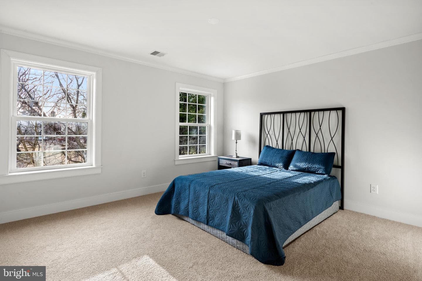 670 Leopard Road photo 41
