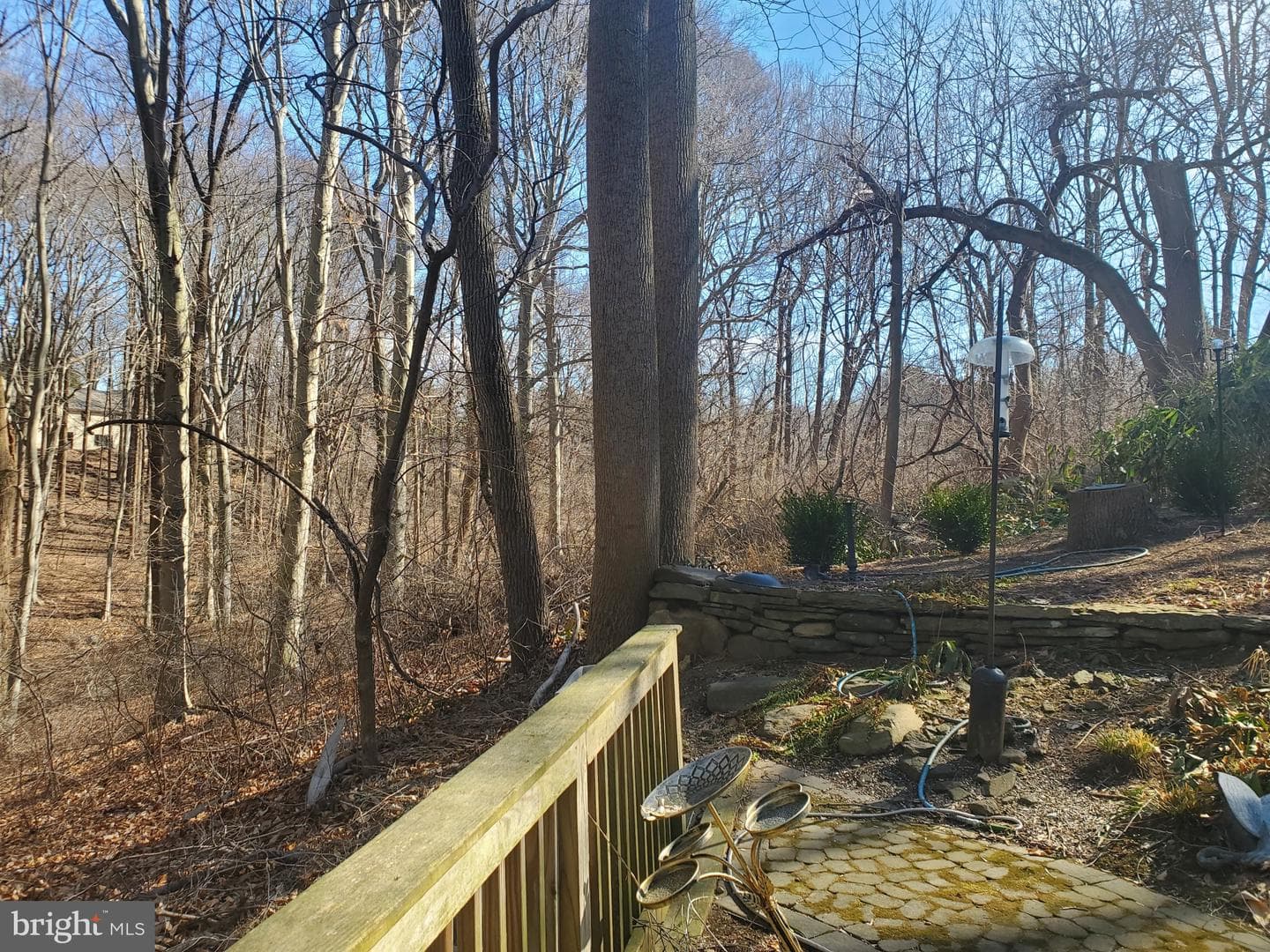 8 Briarwood Court photo 42