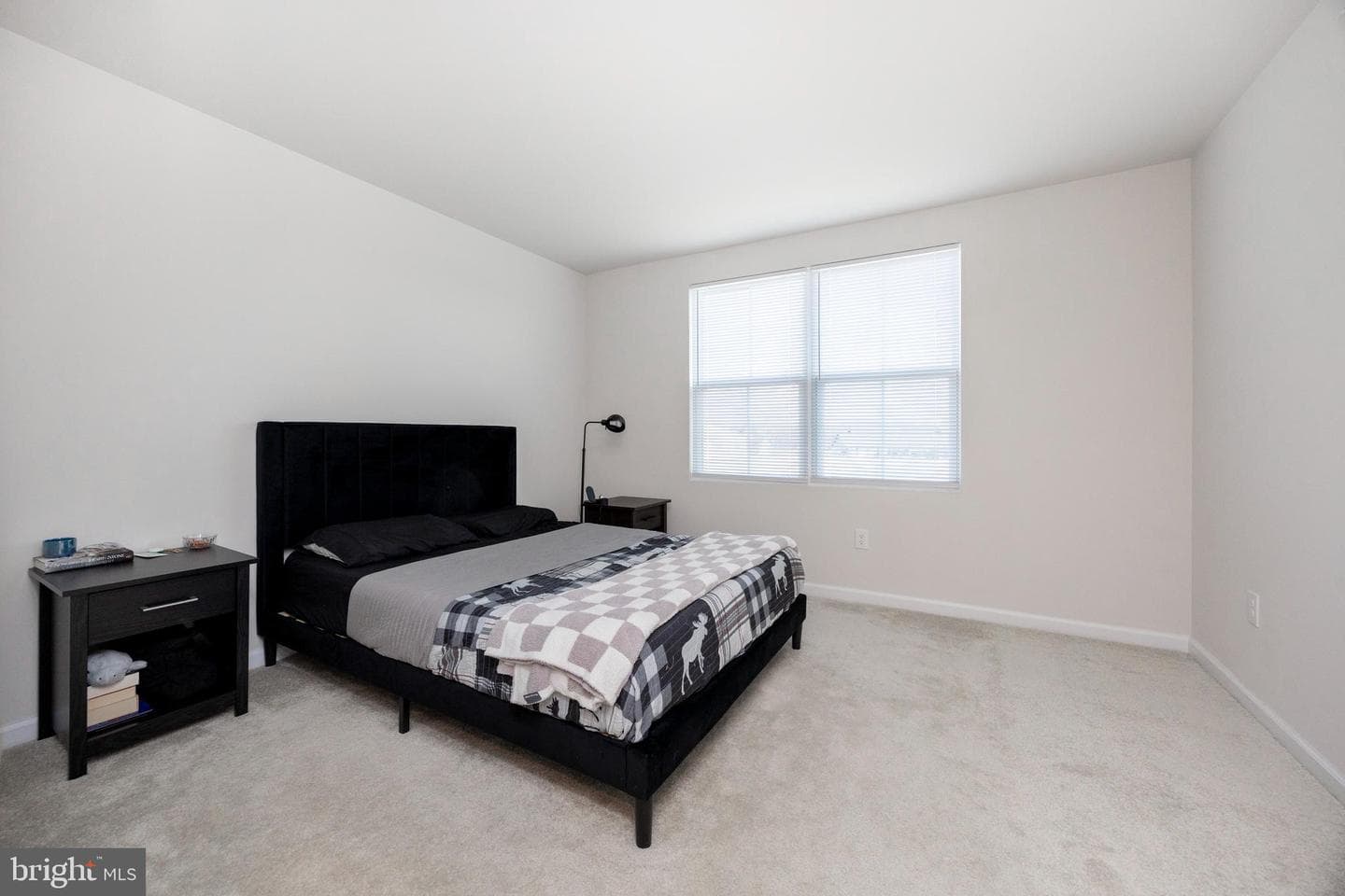58 Rose Glen Court photo 22