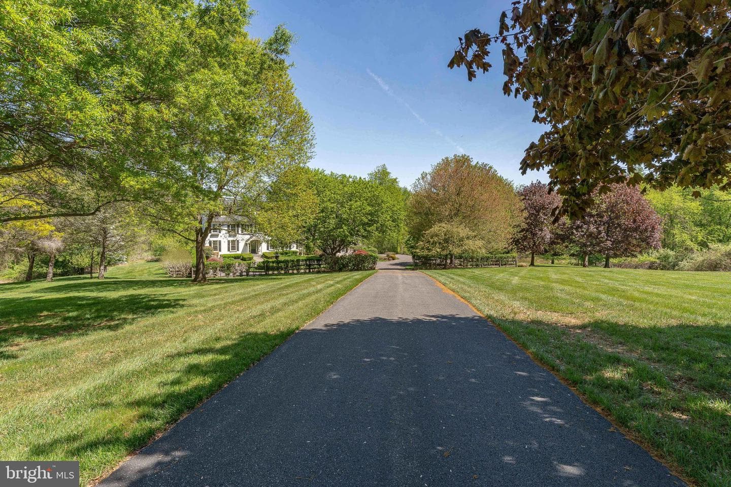895 Bainbridge Drive photo 3