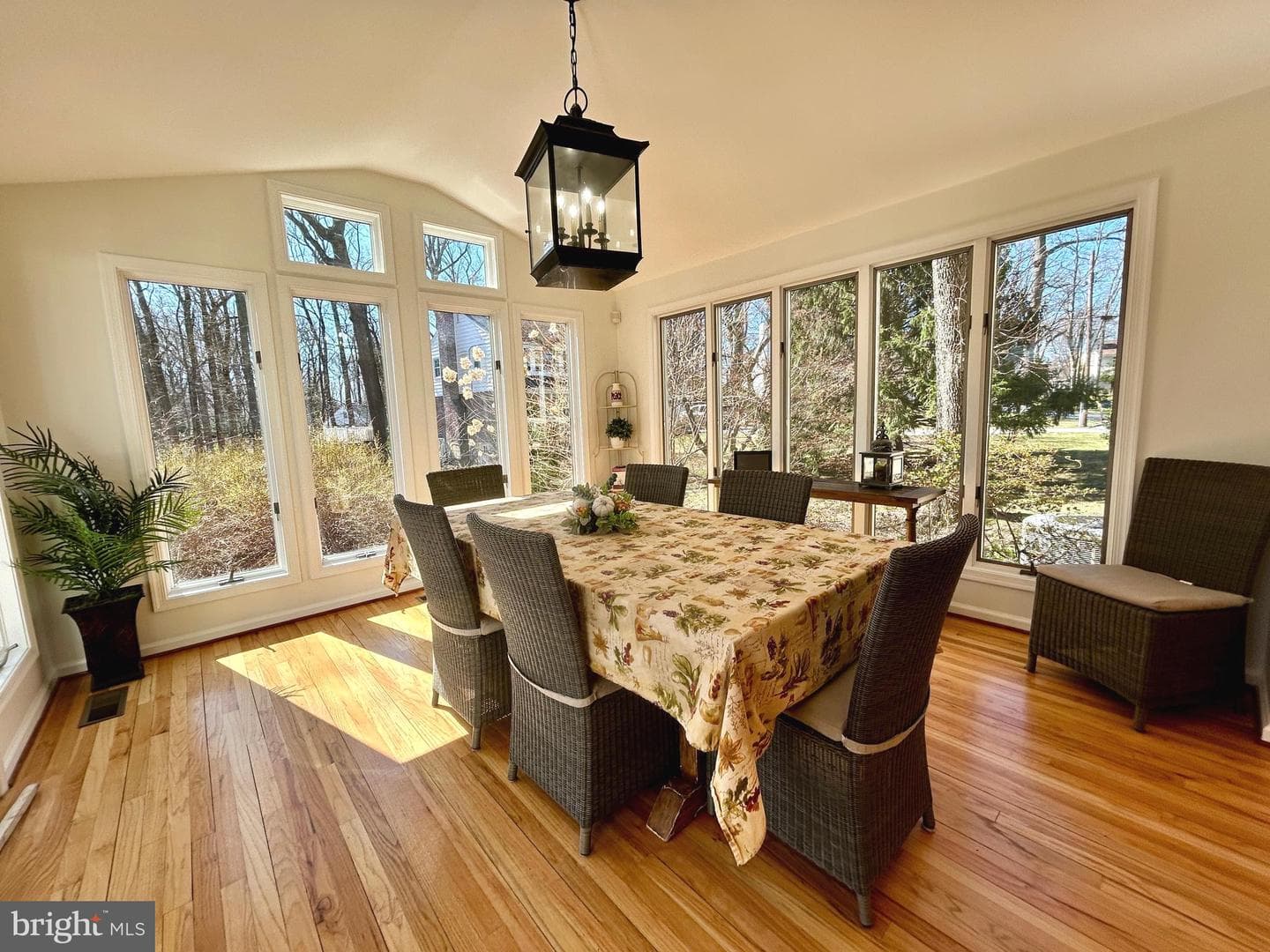 505 Delancy Circle photo 7