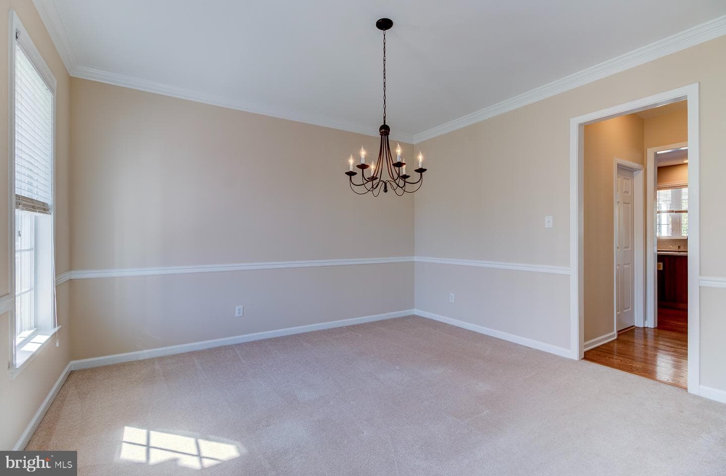117 Walnut Drive photo 21