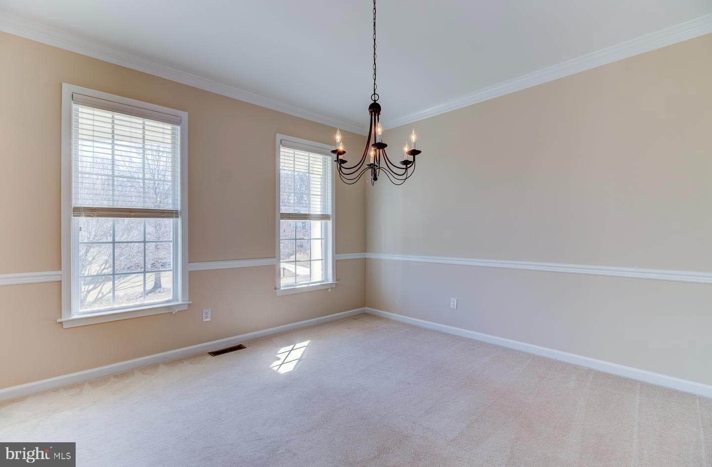 117 Walnut Drive photo 22