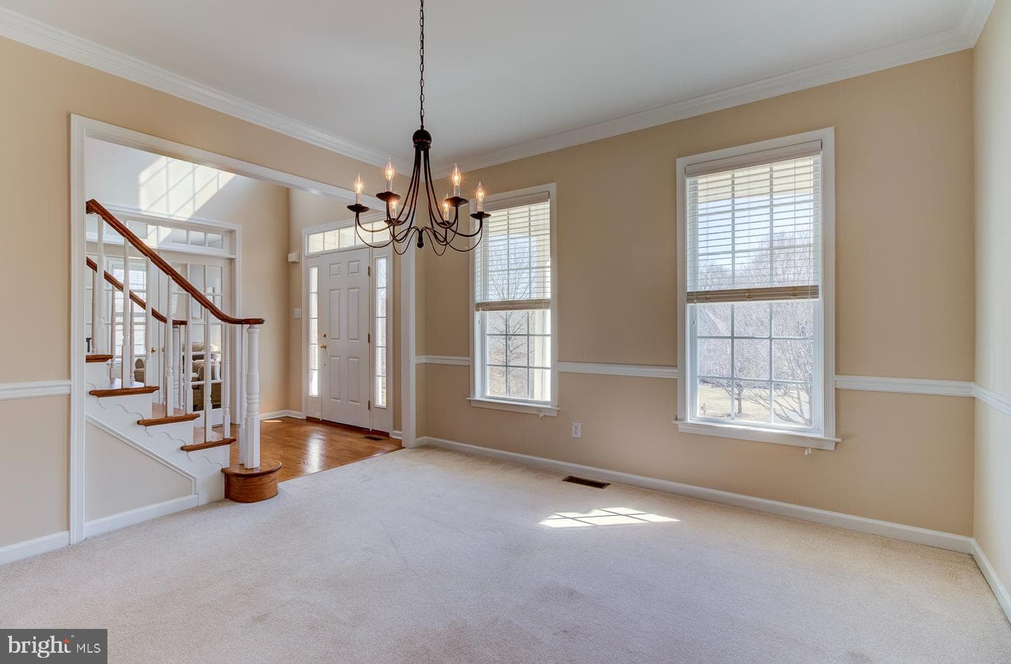 117 Walnut Drive photo 23