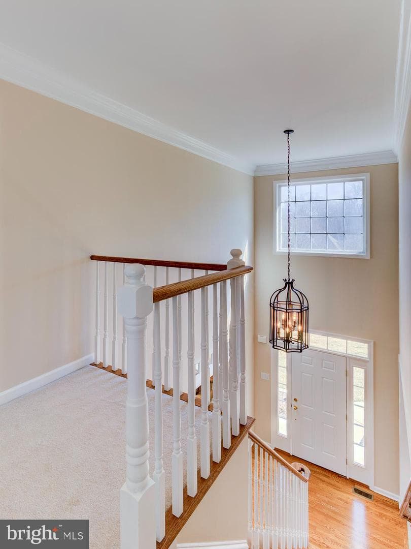 117 Walnut Drive photo 27