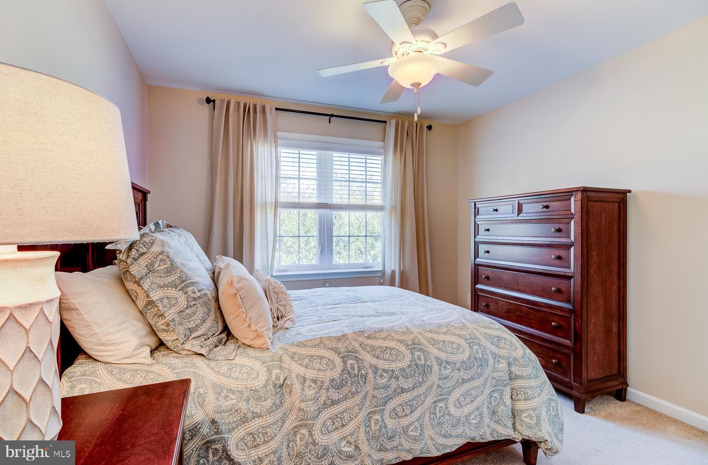 117 Walnut Drive photo 33