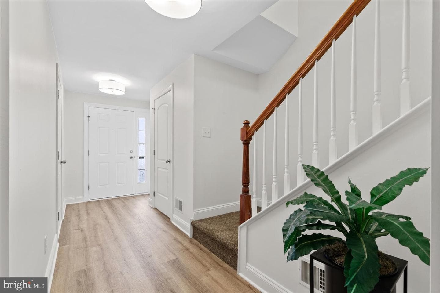 241 Kennedy Drive photo 4