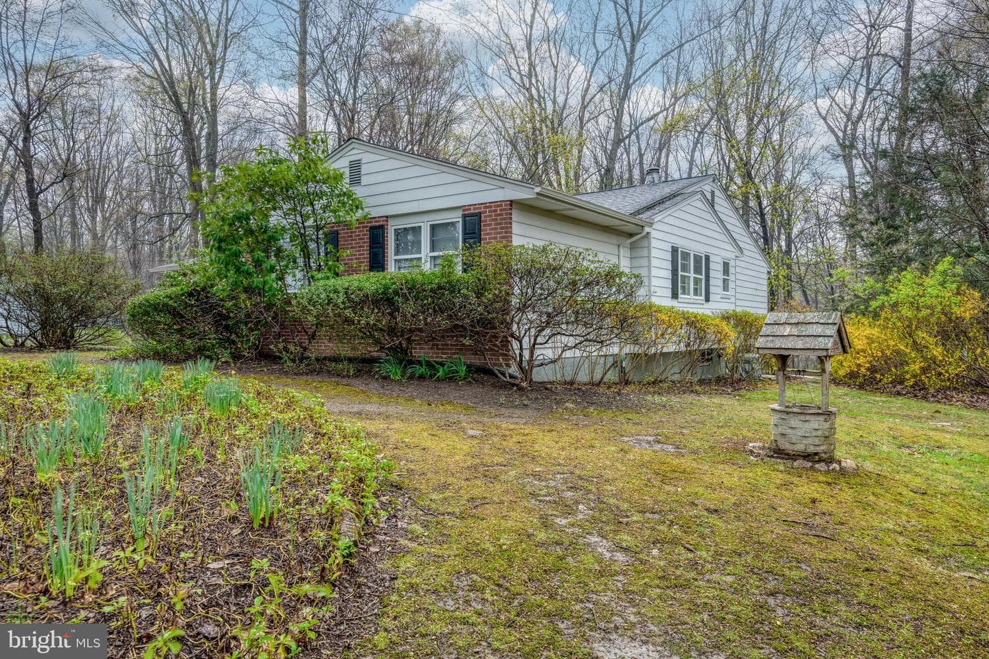 685 Chambers Rock Road photo 3