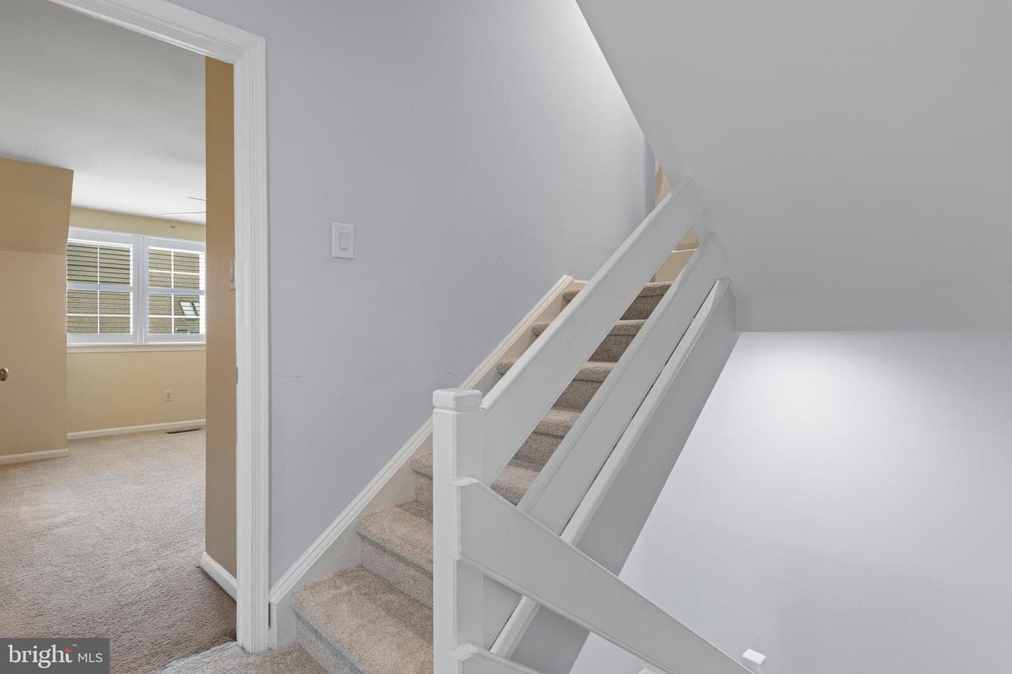 21 Newport Drive photo 39