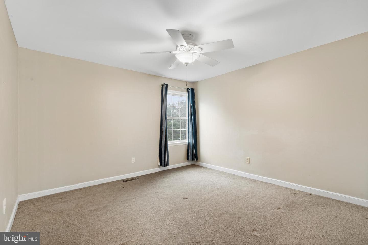 1807 Hawkweed Way photo 30