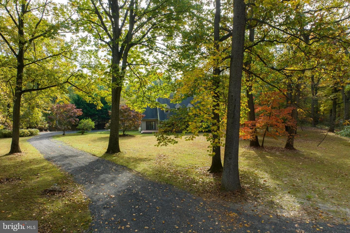 35 Maple Lane photo 50