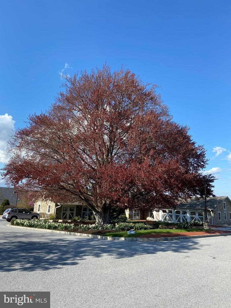 213 Brodius Lane photo 37