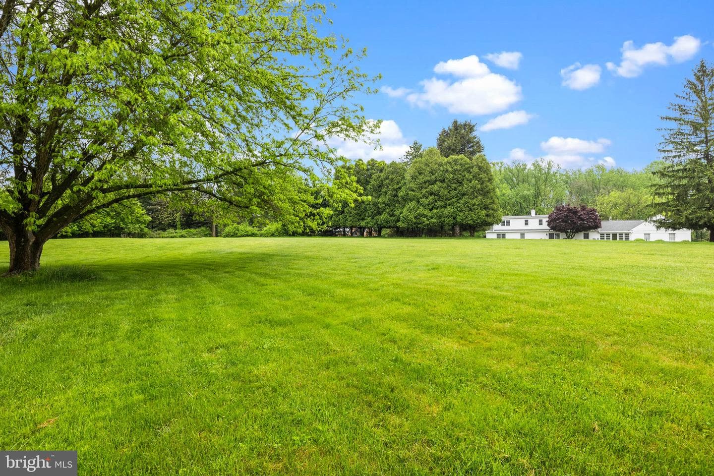 112 Blackshire Road photo 48