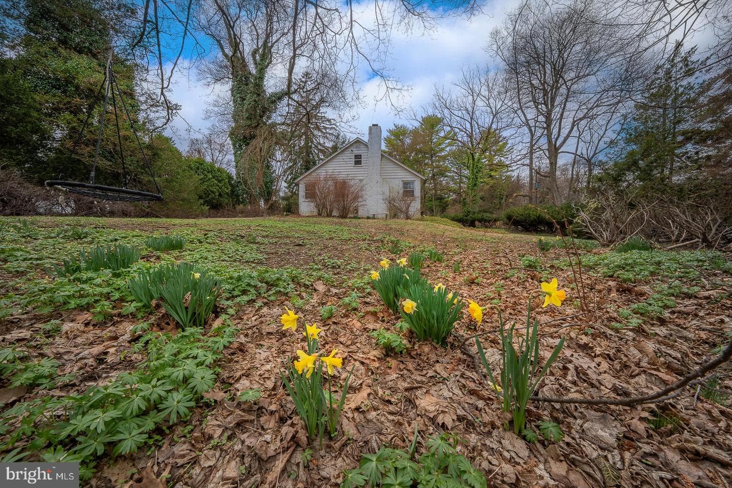 4 Porteous Road photo 38