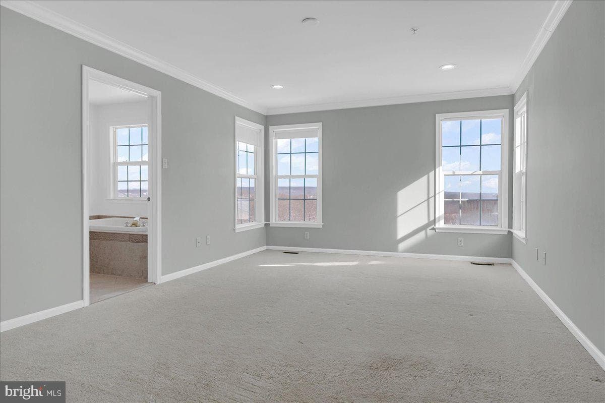 203 Silverbell Court photo 18