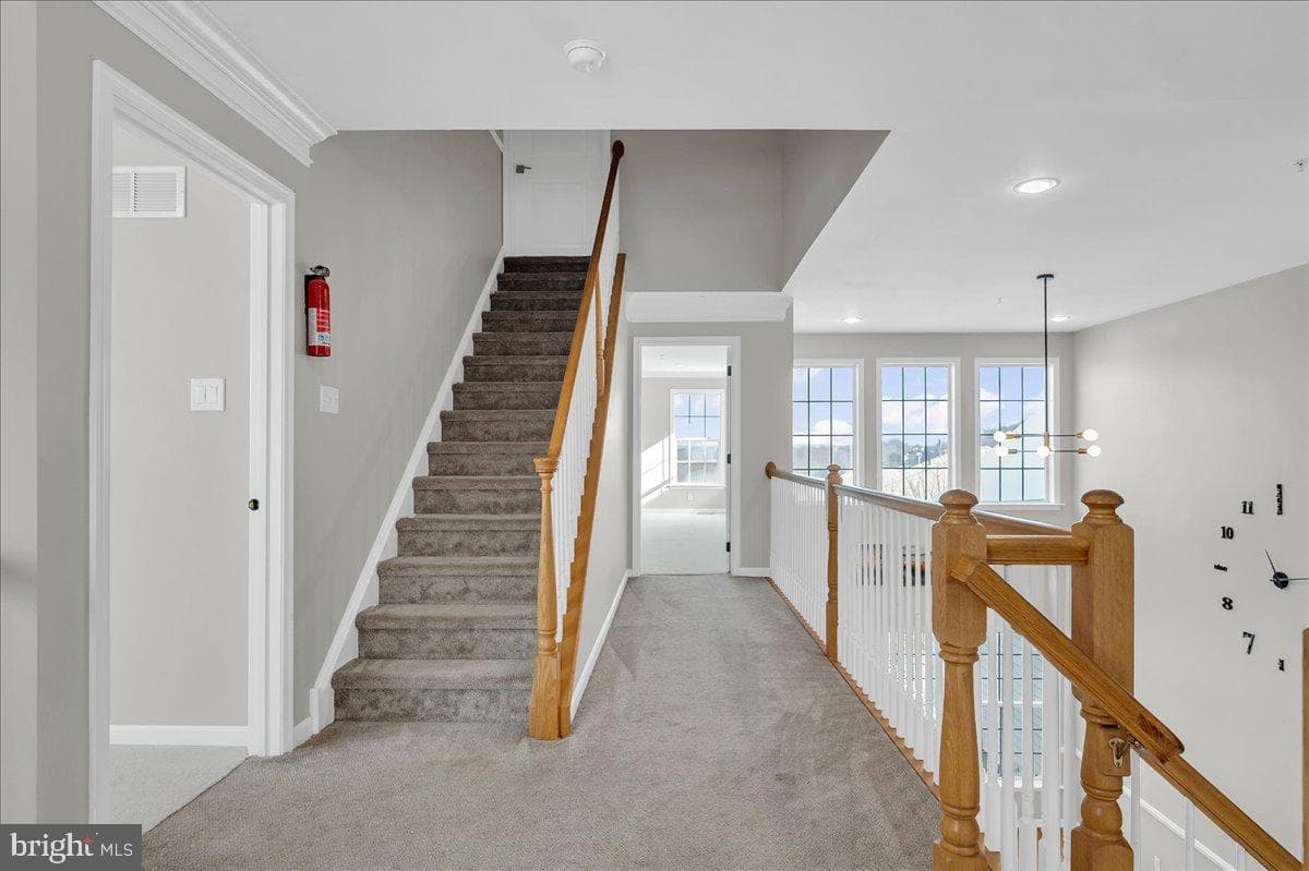 203 Silverbell Court photo 29