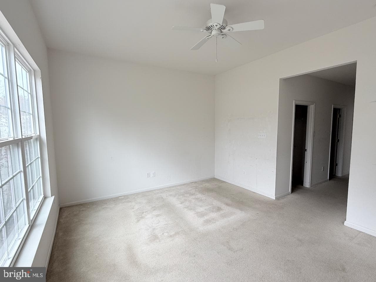 169 Davish Road photo 15