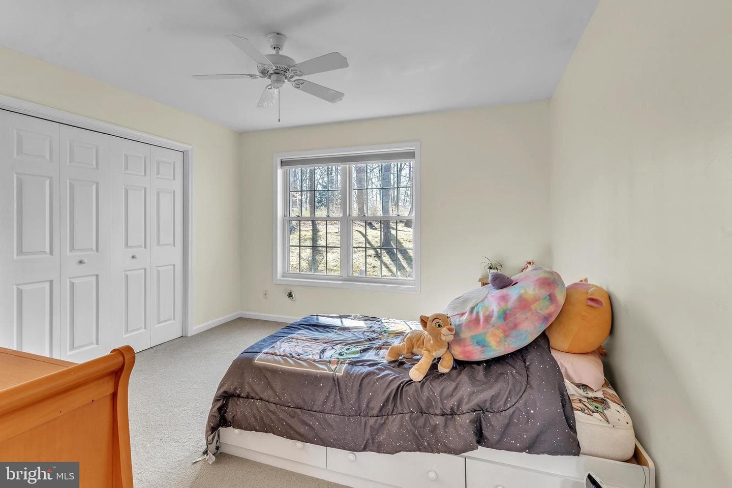 120 Partridge Way photo 27