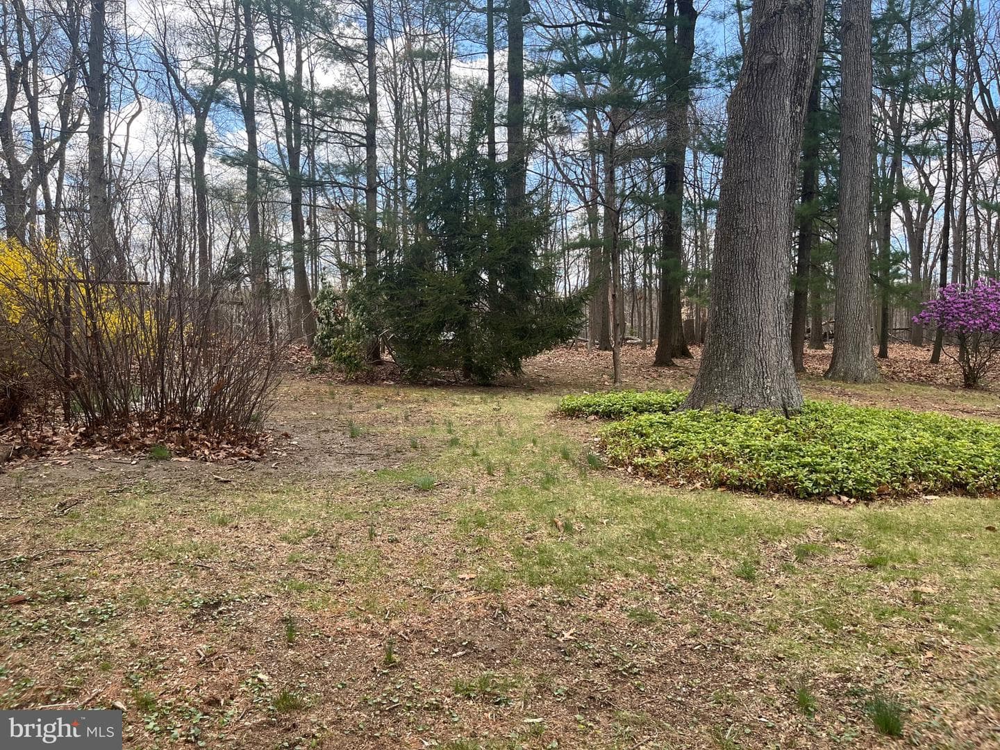 117 Spring Road photo 10