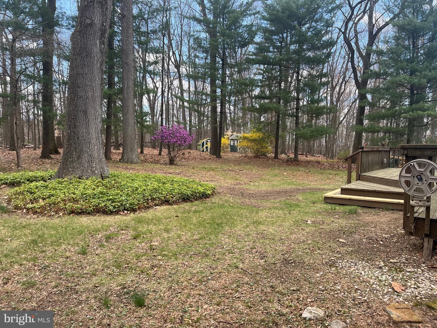 117 Spring Road photo 13